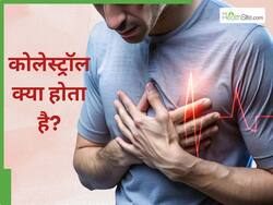 कोलेस्ट्रॉल क्या होता है और इसके बढ़ने से कौन-सी बीमारियां हो सकती हैं? 5 प्वाइंट्स में जानिए सबकुछ
