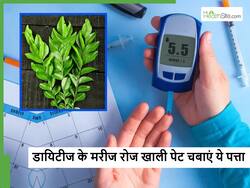 रोज सुबह उठते ही खाली पेट चबाएं ये एक पत्ता, तेजी से कंट्रोल होने लगेगा बढ़ा हुआ Blood Sugar Level