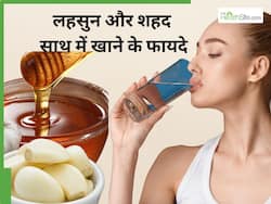 लहसुन और शहद साथ में खाने से कौन-सी बीमारियां सही होती हैं? कितने दिन तक खाने से मिलता है फायदा