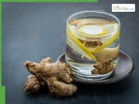 What Are The Benefits Of Drinking Hot Water With Lemon, Ginger, And Garlic?
