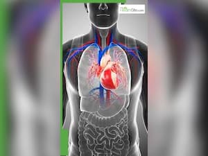 सर्दियों में हार्ट अटैक का खतरा कम करने के लिए करें ये 8 काम