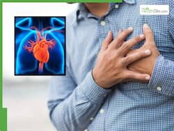 आयुर्वेदिक विशेषज्ञों ने बताया हार्ट को हेल्दी रखने के लिए क्या सबसे ज्यादा जरूरी, हार्ट अटैक का रिस्क होगा कम