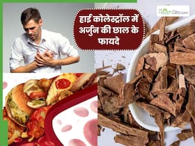 खराब कोलेस्ट्रॉल को कम करती है अर्जुन की छाल, खोल देती है दिल की सभी बंद नसें, इस तरह से करें सेवन