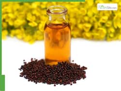 Hair Care Tips: 8 Ways In Which Using Mustard Oil Can Promote Hair Growth