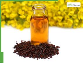 Hair Care Tips: 8 Ways In Which Using Mustard Oil Can Promote Hair Growth Hair Care Tips: 8 Ways In Which Using Mustard Oil Can Promote Hair Growth