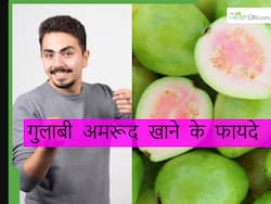 рдорд╣рд╛рдХреБрдВрдн рдХреЗ рд▓рд┐рдП рдЬрд╛ рд░рд╣реЗ рд╣реИрдВ рдкреНрд░рдпрд╛рдЧрд░рд╛рдЬ рддреЛ рдЬрд░реВрд░ рдЦрд╛рдПрдВ рд╡рд╣рд╛рдВ рдХреЗ рдЧреБрд▓рд╛рдмреА рдЕрдорд░реВрдж, рд╕рд░реНрджрд┐рдпреЛрдВ рдореЗрдВ рджреВрд░ рд░рд╣реЗрдВрдЧреА рдпреЗ 6 рдмреАрдорд╛рд░рд┐рдпрд╛рдВ