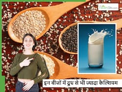 दूध से भी कई गुना ज्यादा कैल्शियम देंगे ये खास बीज, सर्दियों में खाएंगे तो मिलेगा डबल फायदा