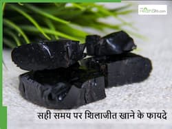 ज्यादा फायदा लेने के लिए किस समय करें शिलाजीत का सेवन? फायदे जानकर रह जाएंगे हैरान