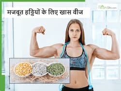 हड्डियां हो गई कमजोर तो सिर्फ दूध नहीं इन बीजों को करें अपनी डाइट में शामिल, लोहे सी मजबूत रहेंगे हड्डियां