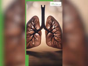 फेफड़ो को मजबूत करने के लिए खाएं ये 8 फूड्स