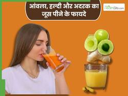 आंवला, हल्दी और अदरक का जूस पीने से दूर होंगी ये 5 समस्याएं, जानिए पीने का सही तरीका