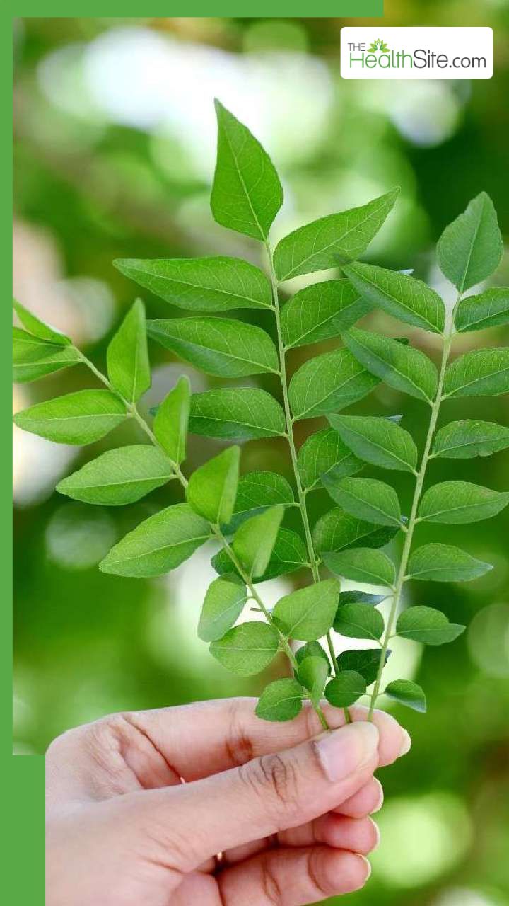 рд╡рдЬрди рдХрдо рдХрд░рдиреЗ рдХреЗ рд▓рд┐рдП рдХрдврд╝реА рдкрддреНрддреЗ рдХреЗ 8 рдлрд╛рдпрджреЗ