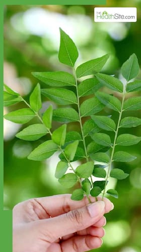 वजन कम करने के लिए कढ़ी पत्ते के 8 फायदे