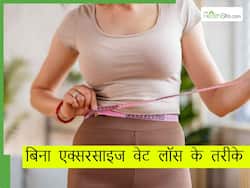मोटापा कम करने के लिए lunch में क्या खाना चाहिए? जानिए बिना मेहनत के वजन कम करने का मंत्र