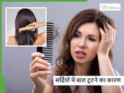 एक्सपर्ट्स ने बताया किन कारण से सर्दियों में सबसे ज्यादा होने लगता है हेयरफॉल, जानें बचाव का तरीका