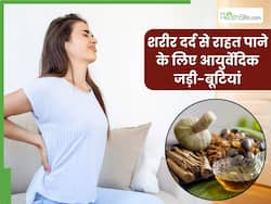 शरीर के दर्द से हैं परेशान तो इन 4 आयुर्वेदिक जड़ी-बूटियों का करें सेवन, तुरंत मिलेगी राहत