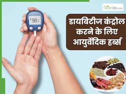 डायबिटीज का रामबाण हैं ये 4 आयुर्वेदिक जड़ी-बूटियां, कंट्रोल करती हैं ब्लड शुगर लेवल
