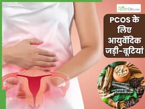 PCOS (पीसीओएस) से छुटकारा दिला सकती हैं ये 4 आयुर्वेदिक जड़ी-बूटियां, हार्मोन्स को करती हैं बैलेंस PCOS (पीसीओएस) से छुटकारा दिला सकती हैं ये 4 आयुर्वेदिक जड़ी-बूटियां, हार्मोन्स को करती हैं बैलेंस