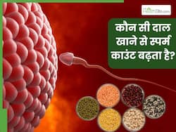 स्पर्म काउंट बढ़ाने के लिए कौन सी दाल सबसे अच्छी है? जानिए स्पर्म काउंट बढ़ाने के लिए कौन सी दाल खानी चाहिए