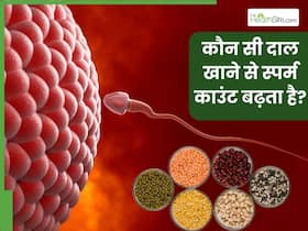 स्पर्म काउंट बढ़ाने के लिए कौन सी दाल सबसे अच्छी है? जानिए स्पर्म काउंट बढ़ाने के लिए कौन सी दाल खानी चाहिए स्पर्म काउंट बढ़ाने के लिए कौन सी दाल सबसे अच्छी है? जानिए स्पर्म काउंट बढ़ाने के लिए कौन सी दाल खानी चाहिए
