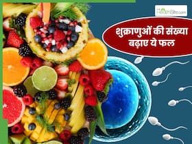 स्पर्म काउंट बढ़ाने के लिए रोजाना खाएं ये 5 फल, गतिशीलता में होगी दोगुनी रफ्तार से तेज स्पर्म काउंट बढ़ाने के लिए रोजाना खाएं ये 5 फल, गतिशीलता में होगी दोगुनी रफ्तार से तेज