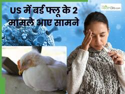 Bird Flu Cases in US: इंसानों में बढ़ रहे बर्ड फ्लू के मामले, अमेरिका में 2 लोगों को करवाना पड़ा अस्पताल में भर्ती