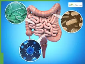 Gut Health: What Makes Fecal Microbiota Transplantation (FMT) An Essential Therapy?