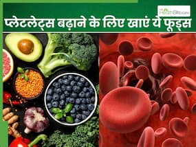 प्लेटलेट काउंट बढ़ाने के लिए डाइट में शामिल करें ये 5 फूड्स, जल्द होगी रिकवरी