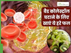 हाई कोलेस्ट्रॉल के दुश्मन हैं ये 5 हरे फल, नसों में जमा बैड कोलेस्ट्रॉल को खींचकर निकाल फेंकेंगे बाहर