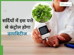 200 पार पहुंच गया है ब्लड शुगर लेवल तो कहीं से तोड़ लाएं ये 5 पत्ते, इनका जूस पीकर धड़ाम से गिरेगा शुगर लेवल