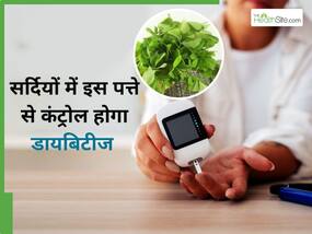 200 पार पहुंच गया है ब्लड शुगर लेवल तो कहीं से तोड़ लाएं ये 5 पत्ते, इनका जूस पीकर धड़ाम से गिरेगा शुगर लेवल