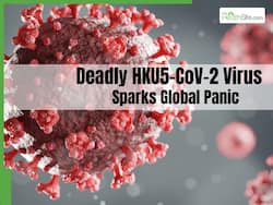 New Bat Virus HKU5-CoV-2 Discovered At China, Wuhan Lab Raises Pandemic Fears