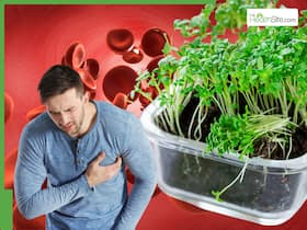 High Cholesterol Prevention: 5 Green Winter Superfoods To Flush Out Bad LDL Cholesterol Naturally High Cholesterol Prevention: 5 Green Winter Superfoods To Flush Out Bad LDL Cholesterol Naturally