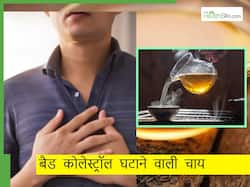 नसों में छुपा बैड कोलेस्ट्रॉल होगा मिनटों में साफ, बस दिन में 1 बार पिएं इन बीजों से बनी चाय, हार्ट भी रहेगा हेल्दी