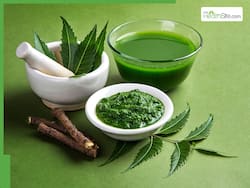 Neem Juice On Empty Stomach: 7 Health Benefits of Drinking Neem Ke Patto Ka Juice Daily In The Morning