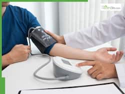 बार-बार हाई हो जाता है ब्लड प्रेशर लेवल, ये 4 जड़ी-बूटियां आएंगी आपके काम, तेजी से कंट्रोल होगा BP