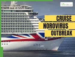 Passengers 'Dropping Like Flies' as Norovirus Outbreak Hits UK P&O Cruise: Details Inside
