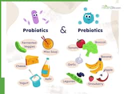 5 Health Benefits Of Prebiotics And Probiotics