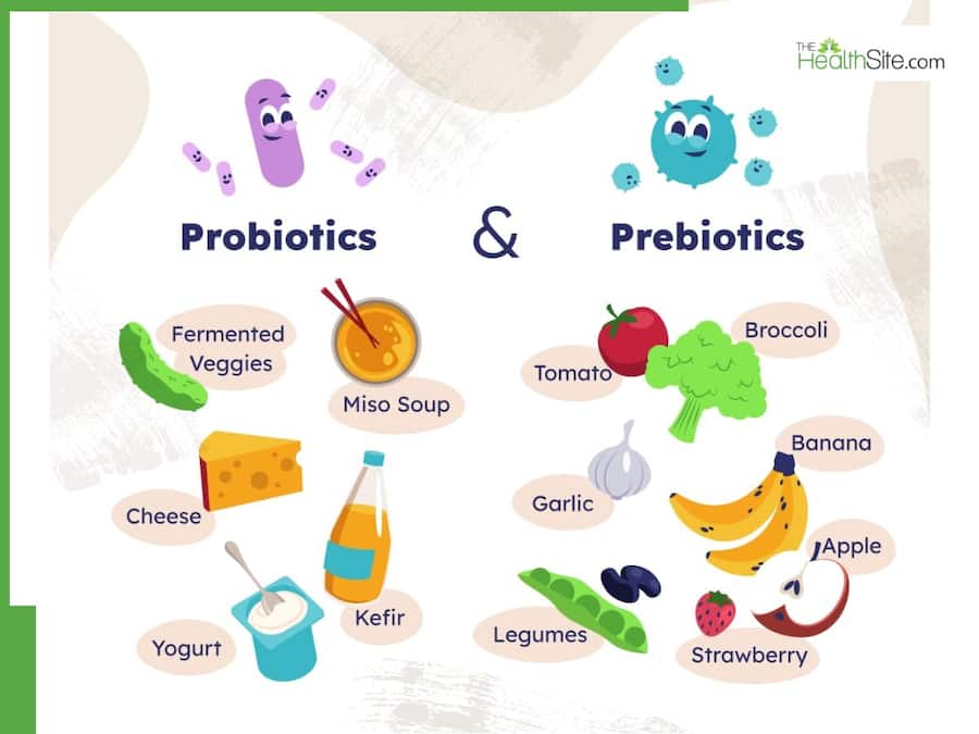5 Health Benefits Of Prebiotics And Probiotics