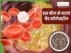 नसों में जमा बैड कोलेस्ट्रॉल को खींचकर बाहर निकाल फेंकेगा इस फूल का बीज, रोजाना ऐसे करें सेवन नसों में जमा बैड कोलेस्ट्रॉल को खींचकर बाहर निकाल फेंकेगा इस फूल का बीज, रोजाना ऐसे करें सेवन