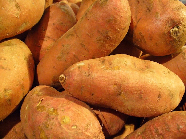 Building A Healthy Oral Relationship With These Food Items: Winter Dental Care Tips