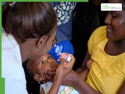 Understanding Herd Immunity: Protecting Vulnerable Children Through Vaccination