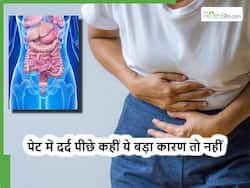 लंबे समय से पेट दर्द है तो ना करें इग्नोर, हो सकता है इन 4 अंगों के डैमेज होने का संकेत