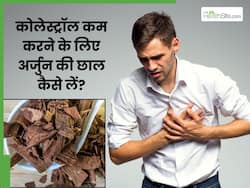 कोलेस्ट्रॉल कम करने में मदद करेगा अर्जुन की छाल का पाउडर, इस तरह से करें सेवन
