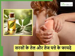 सरसों के तेल में 5 मिनट तक उबालें तेजपत्ता, इन 3 जगह पर मालिश करने से दूर होंगी ये बड़ी बीमारियां