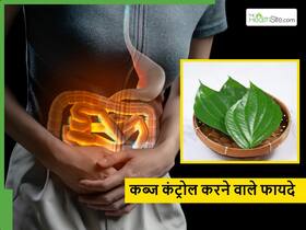 सिर्फ ये पत्ता चबाने से गायब हो जाएगी महीनों पुरानी कब्ज, बस चबाने का सही तरीका जान लें सिर्फ ये पत्ता चबाने से गायब हो जाएगी महीनों पुरानी कब्ज, बस चबाने का सही तरीका जान लें