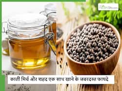 क्या आपको पता है शहद में काली मिर्च मिलाकर खाने से दूर हो सकती हैं ये 5 बीमारियां? बस जान लें सेवन का सही तरीका