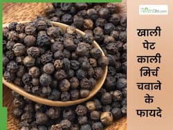 रोज सुबह खाली पेट चबाएं 3-4 काली मिर्च, दूर हो जाएंगी सेहत से जुड़ी ये 4 समस्याएं