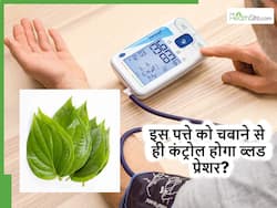सिर्फ ये एक पत्ता चबाने से ही दिनभर कंट्रोल रह सकता है आपका हाई ब्लड प्रेशर, बस जान लें सही तरीका