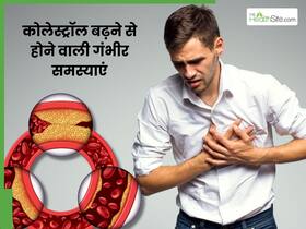 कोलेस्ट्रॉल बढ़ने से हो सकती हैं ये 3 गंभीर समस्याएं, हार्ट अटैक और किडनी डैमेज का बढ़ता है खतरा